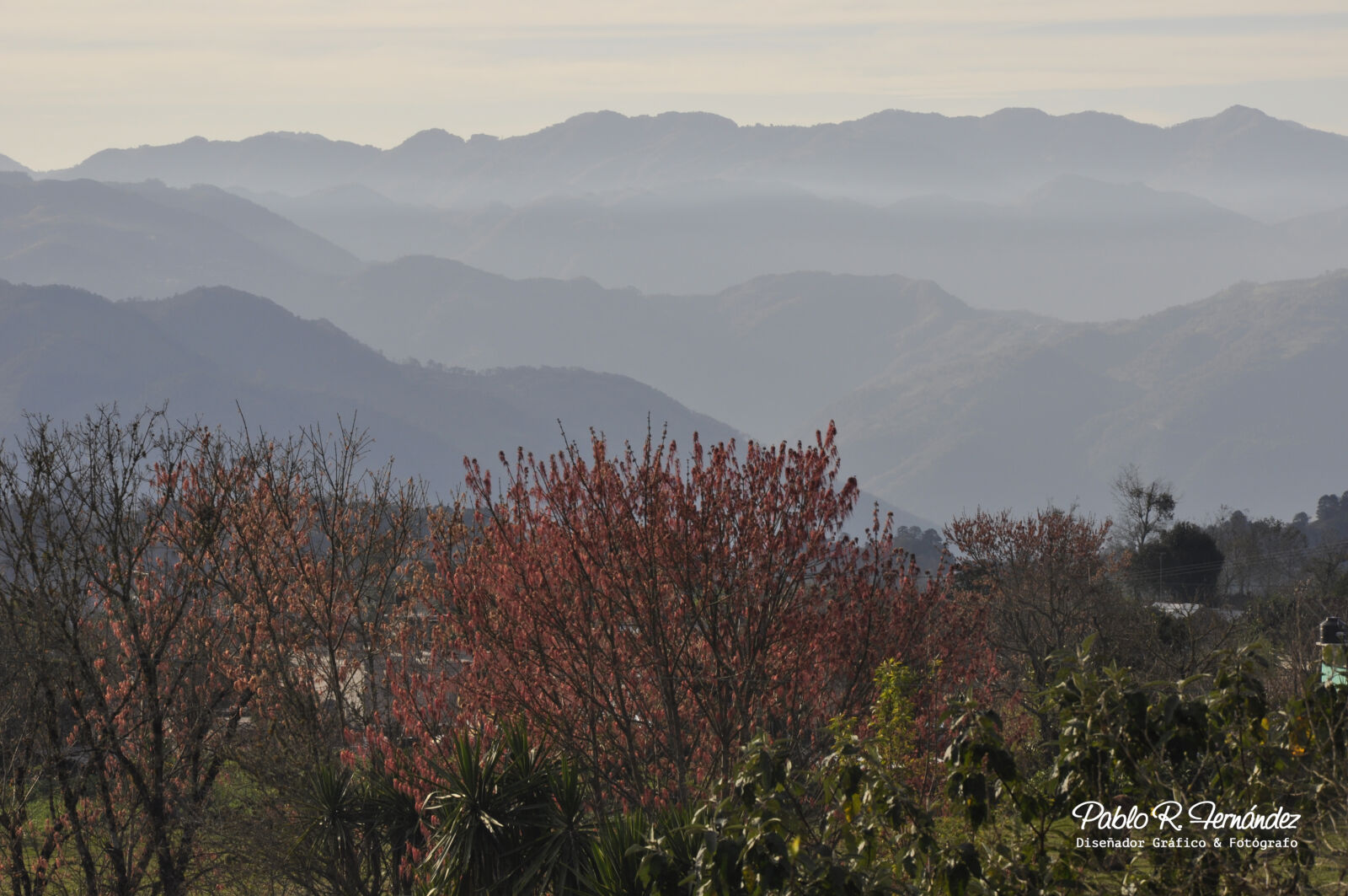 Nikon D5000 sample photo