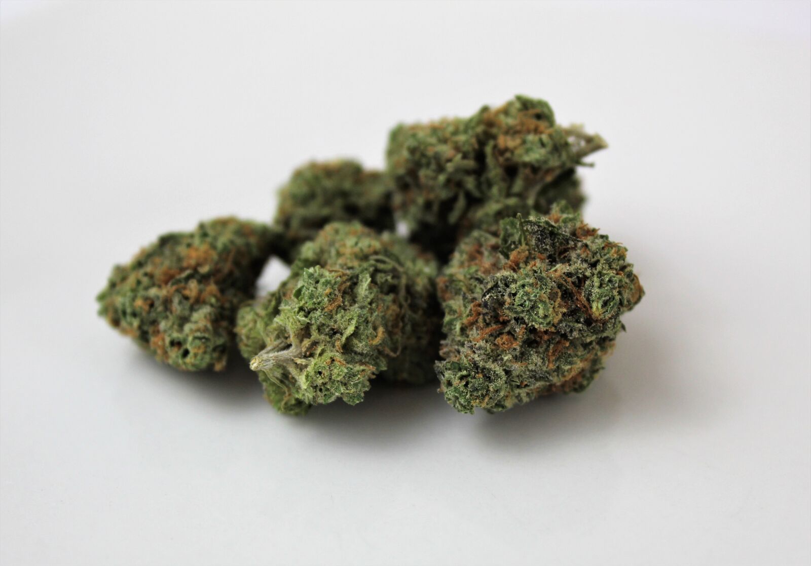 Canon EOS 1300D (EOS Rebel T6 / EOS Kiss X80) sample photo. Indica, marijuana, weed photography