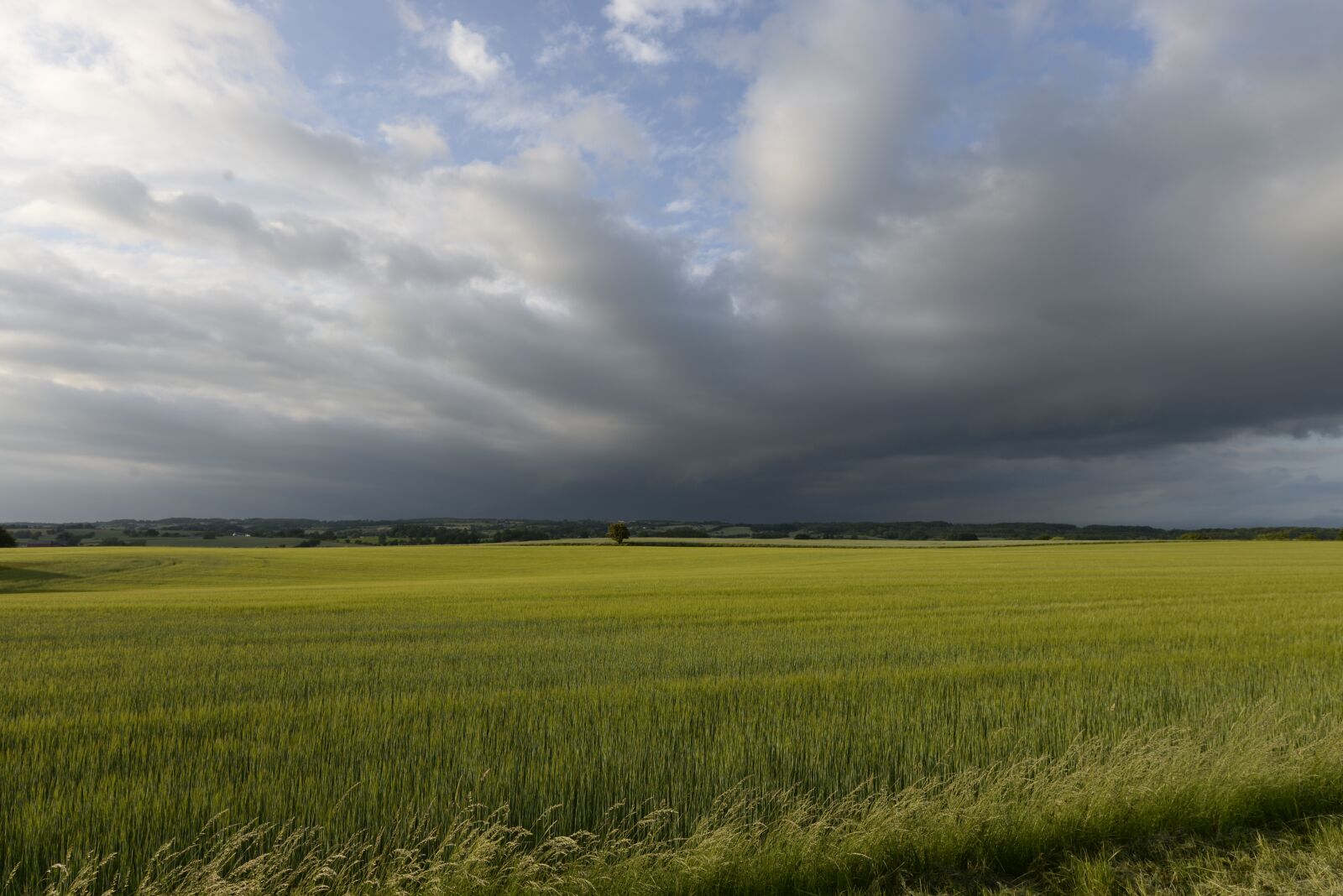 Nikon D610 sample photo. Nature, swedish, landscapes photography