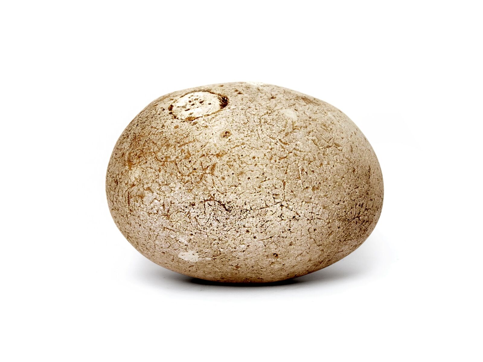 Nikon Coolpix P7000 sample photo. Pebble, stone, cobble photography