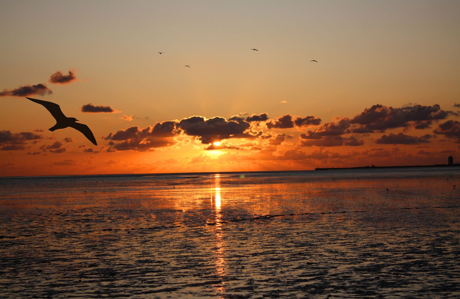 Canon EOS 450D (EOS Rebel XSi / EOS Kiss X2) sample photo. Sunset, wadden sea, watts photography