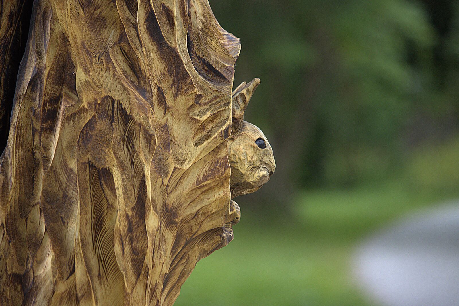 Canon EOS 90D sample photo. Wood carving, squirrel, tree photography