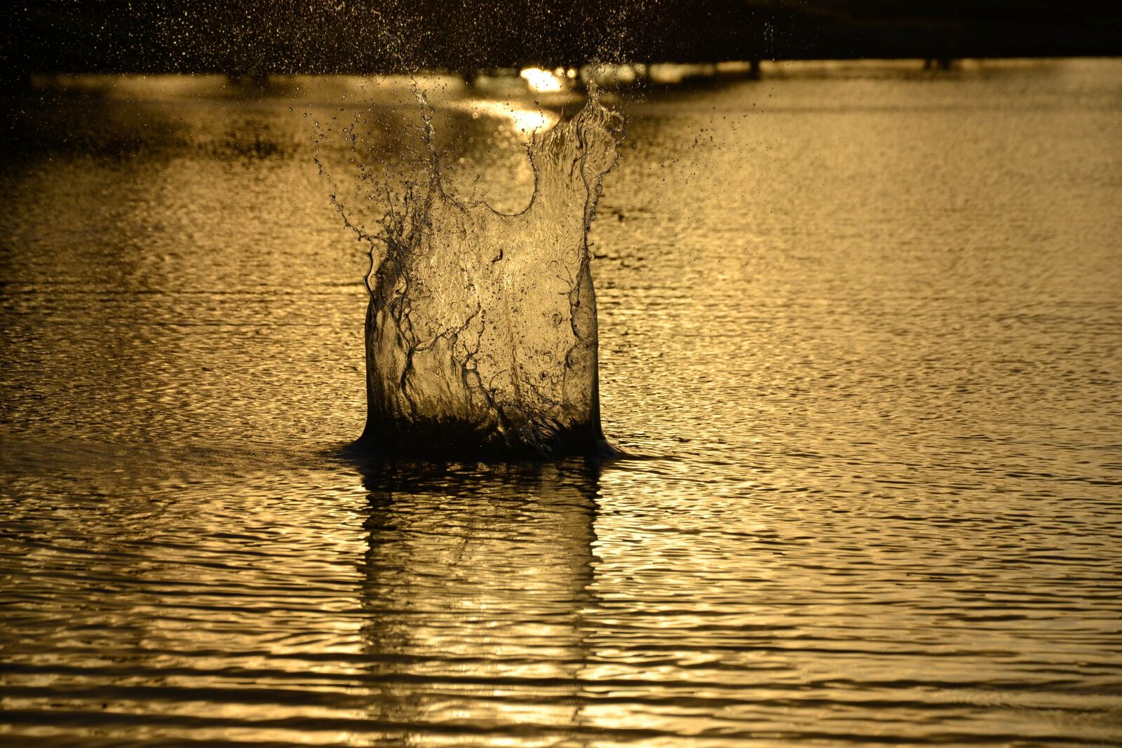 Nikon D3100 sample photo. Best place, leisure, field photography