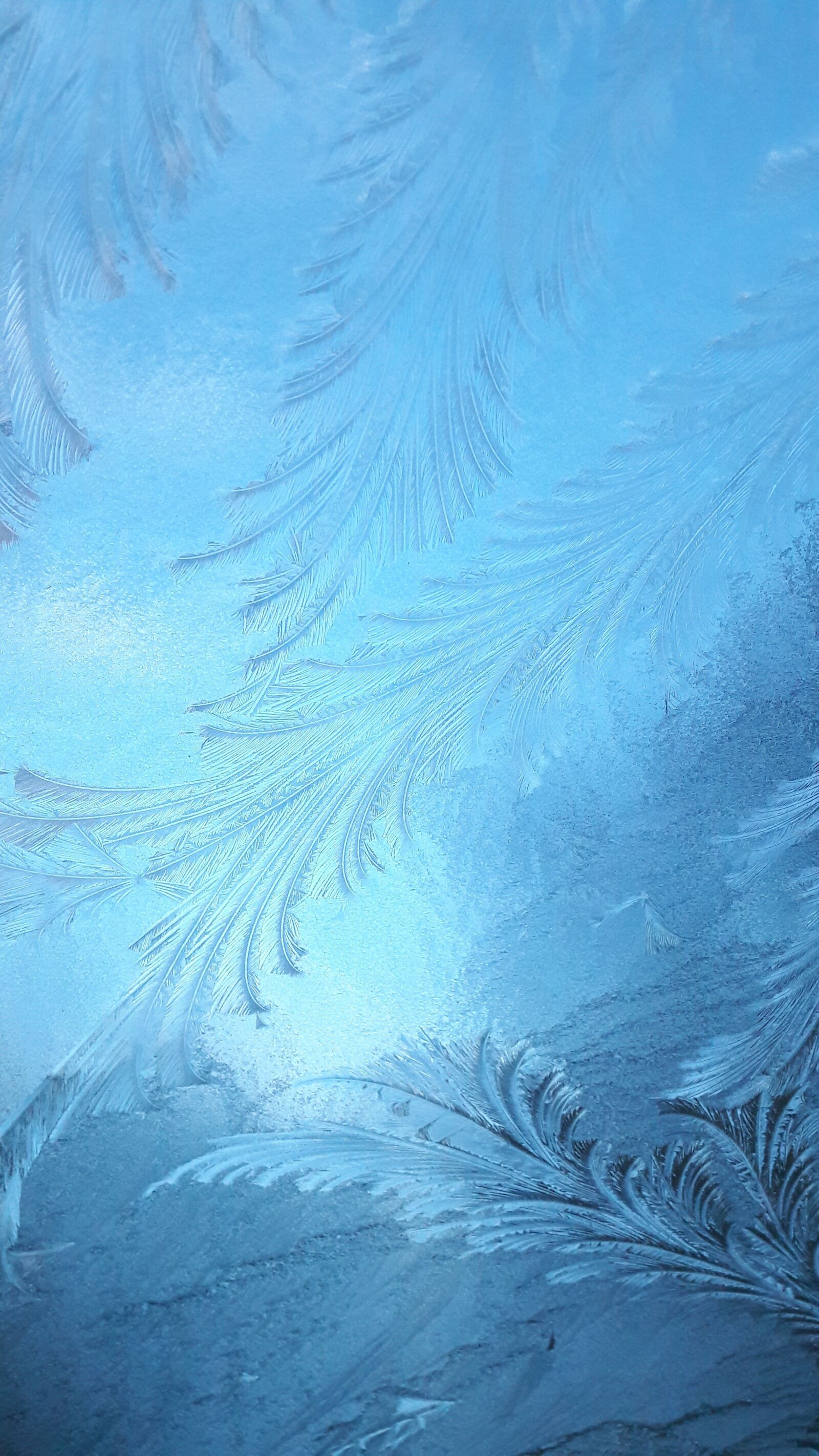 Samsung Galaxy A5(2016) sample photo. Frost, blue, ice photography