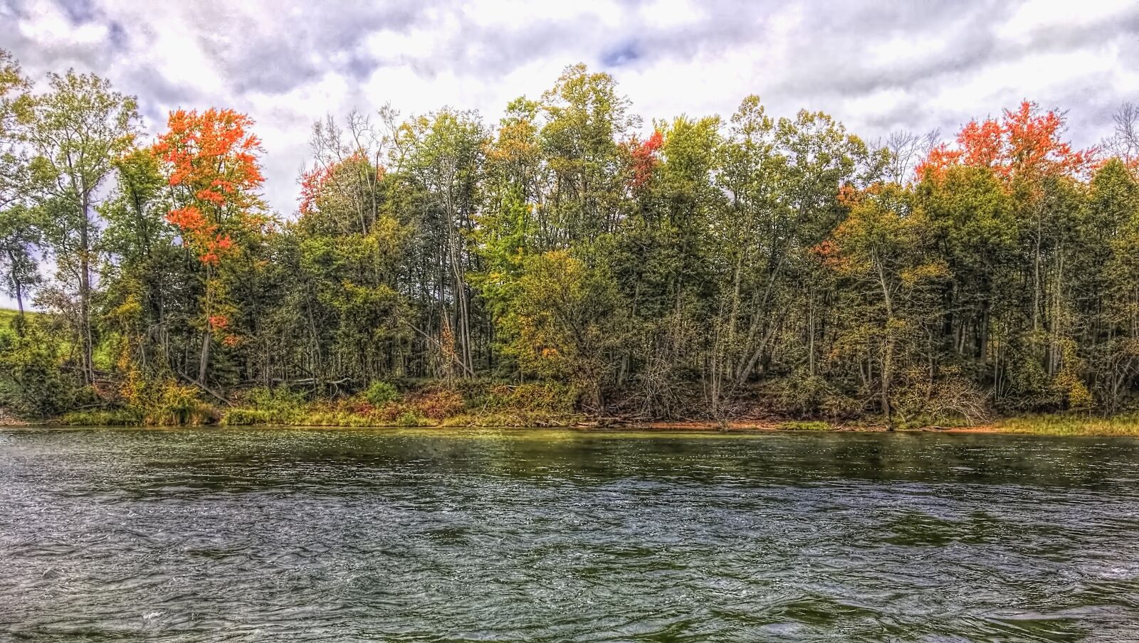 Apple iPhone 6s sample photo. Scenery, trees, water photography