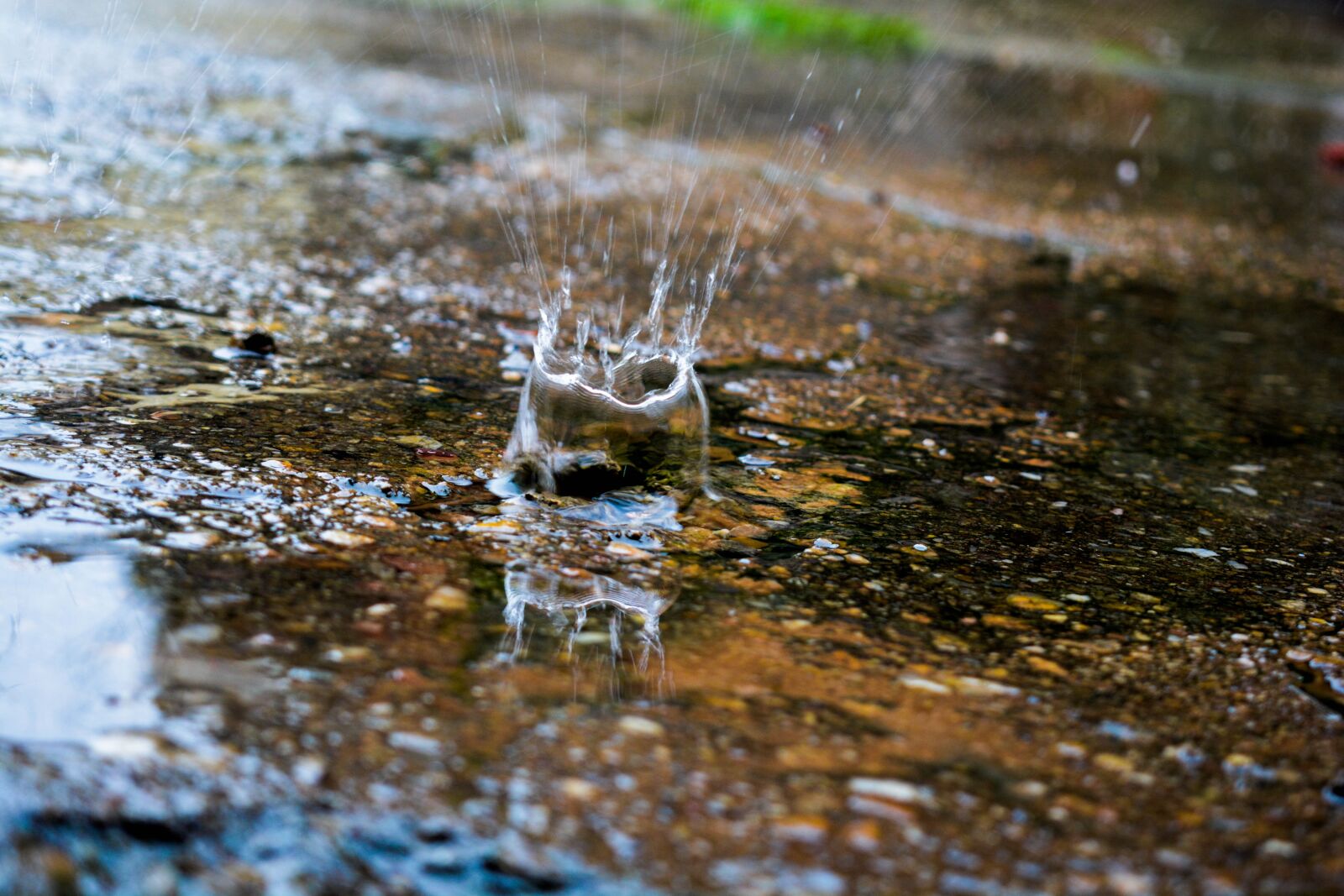 Nikon D5200 sample photo. Rain, rainy, water photography