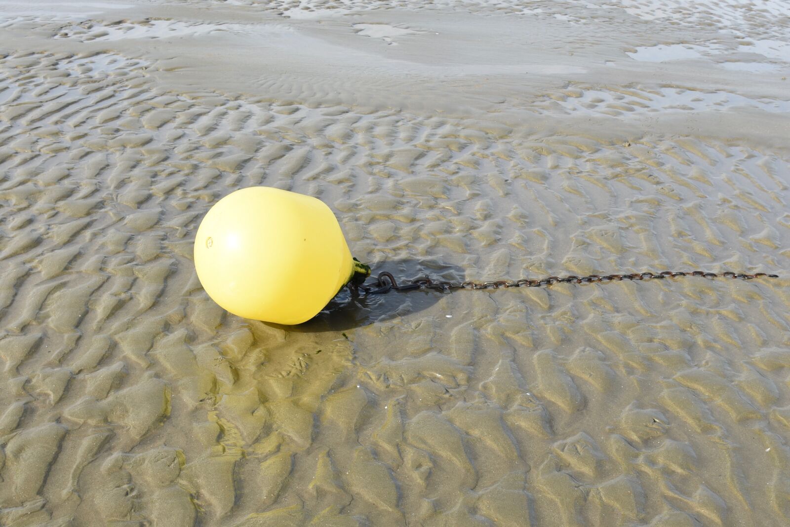 Nikon D810 sample photo. Knocke, beach, boje photography