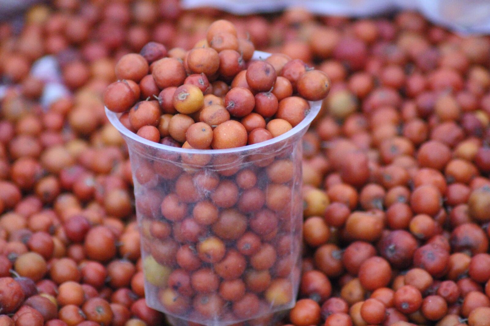 Canon EOS 700D (EOS Rebel T5i / EOS Kiss X7i) sample photo. Jujube, fruit, food photography