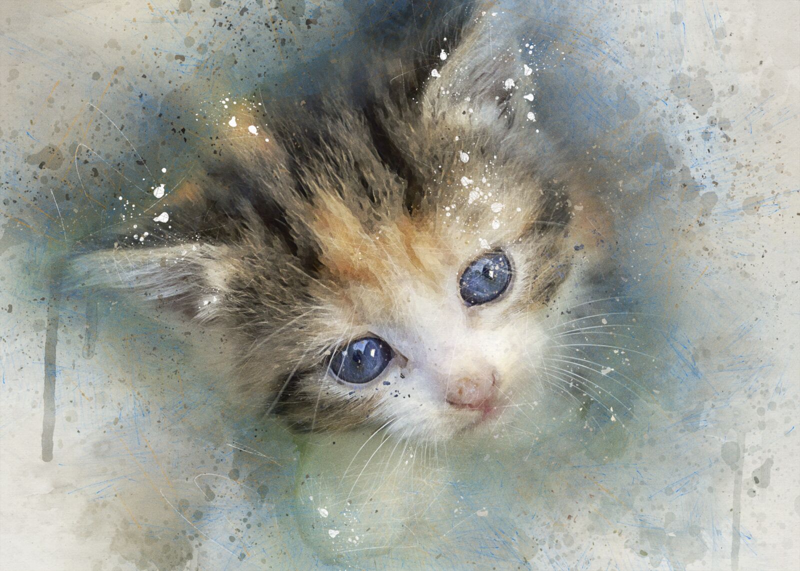 Nikon D3200 sample photo. Kitten, cat, feline photography