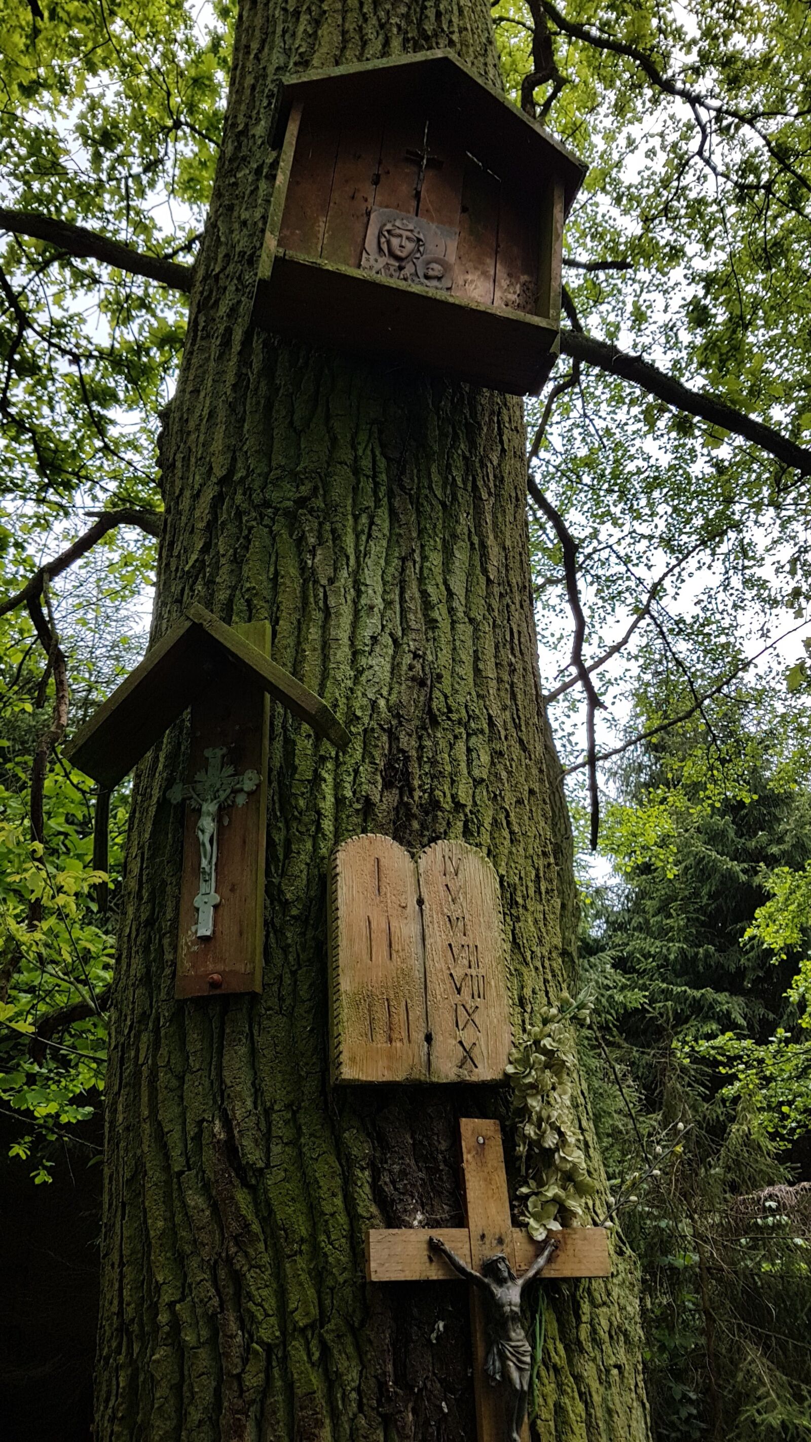 Samsung Galaxy S7 Edge sample photo. Tree, chapel, religion photography