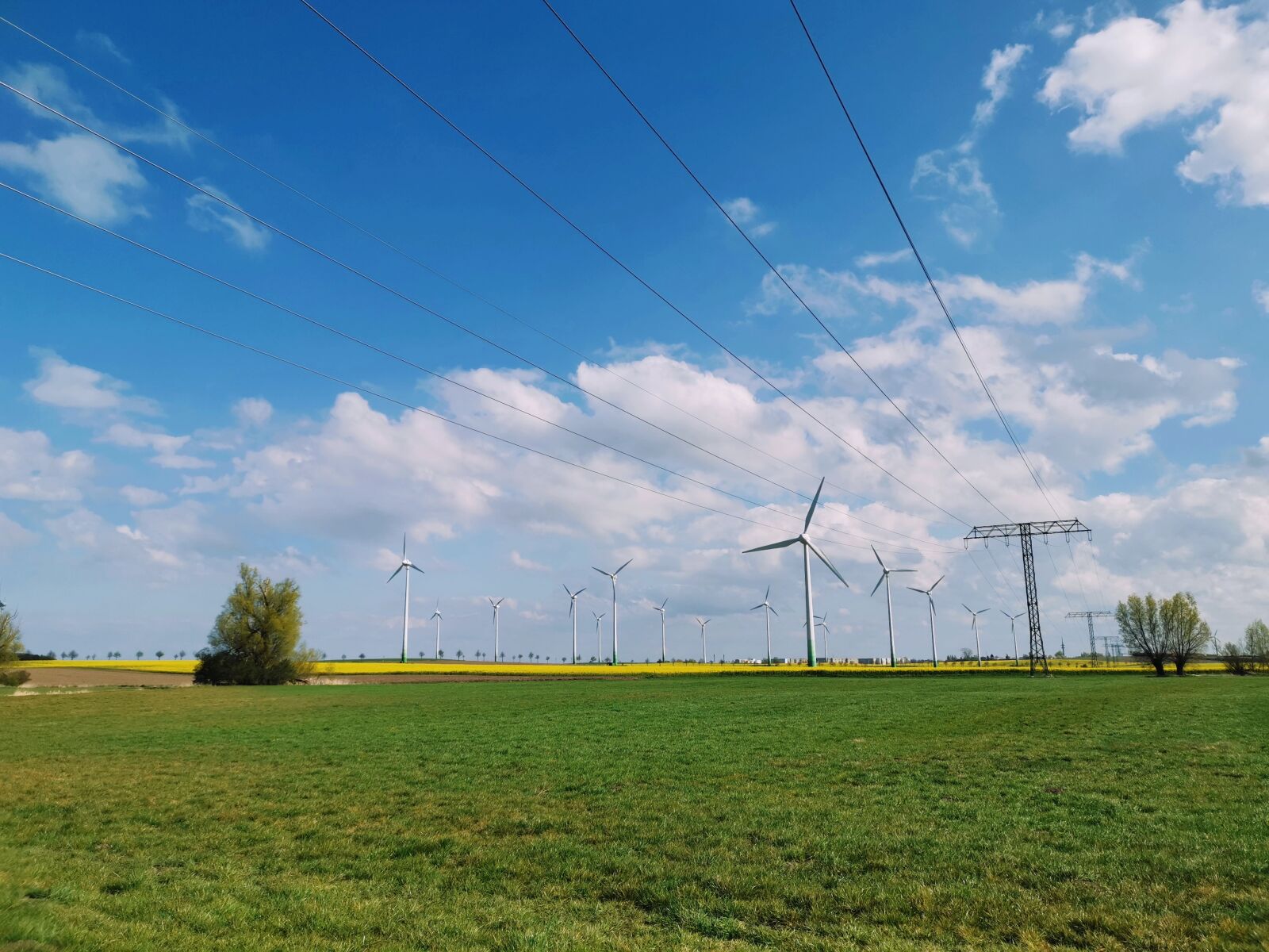 HUAWEI LYA-L29 sample photo. Landscape, pinwheel, blue sky photography