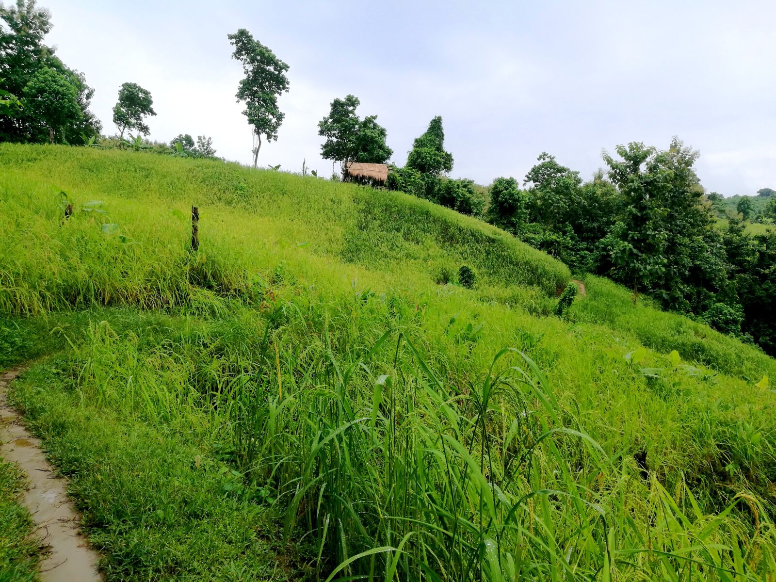 HUAWEI P9 sample photo. Bandarban, chittagong, bangladesh photography