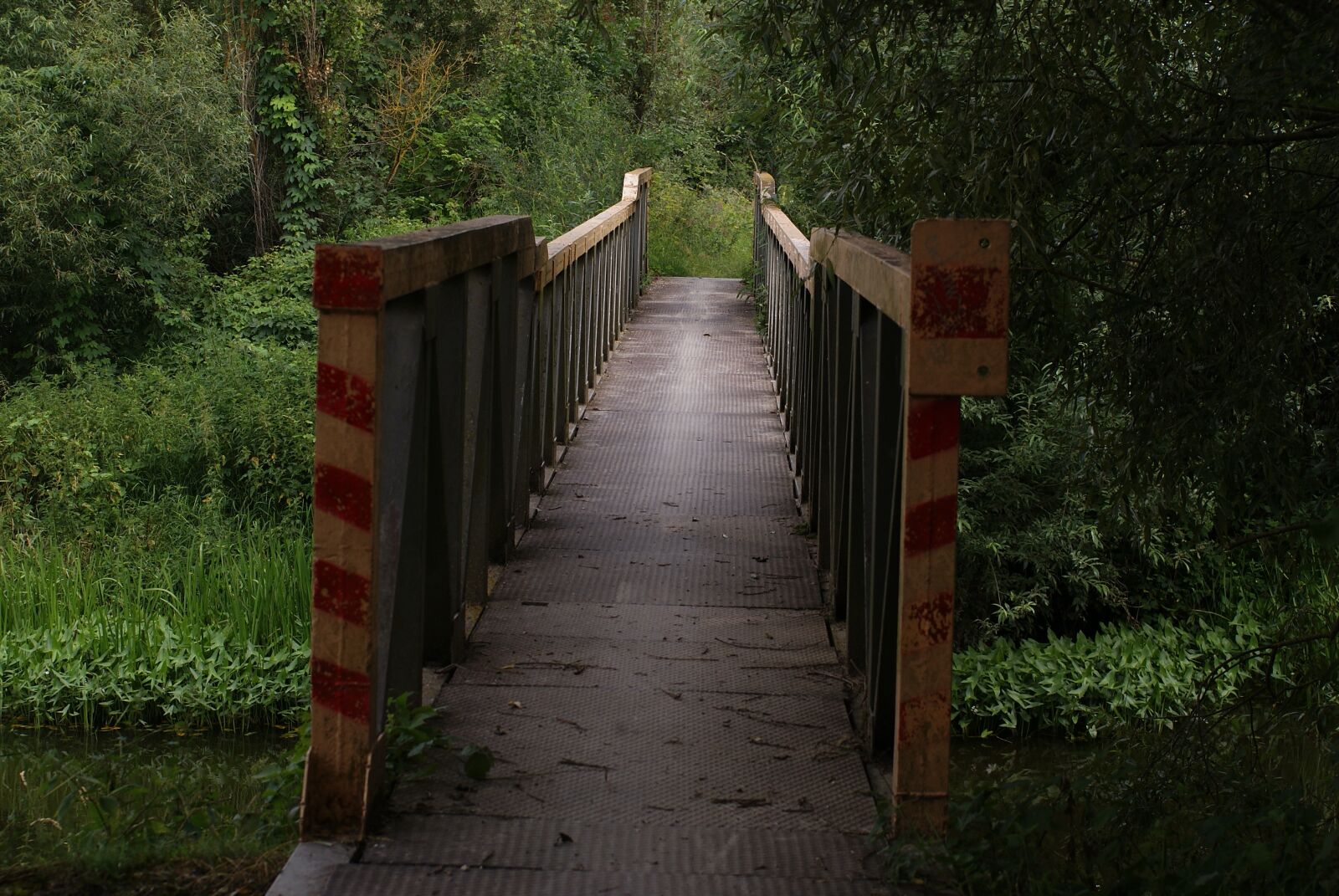 Sony Alpha DSLR-A200 sample photo. Bridge, footbridge, landscape photography