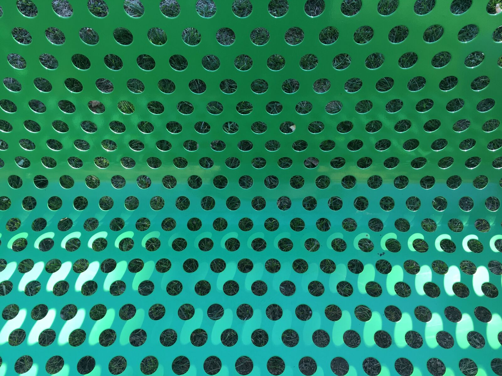 Apple iPhone 6s Plus sample photo. Pattern, circles, green photography