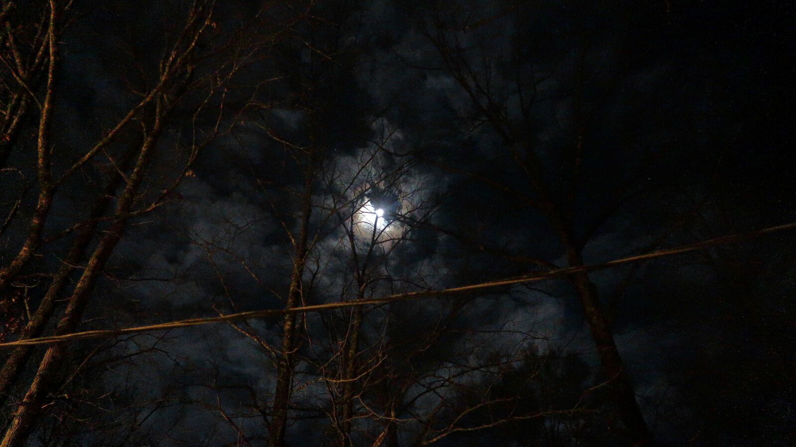 Canon PowerShot G7 X Mark II sample photo