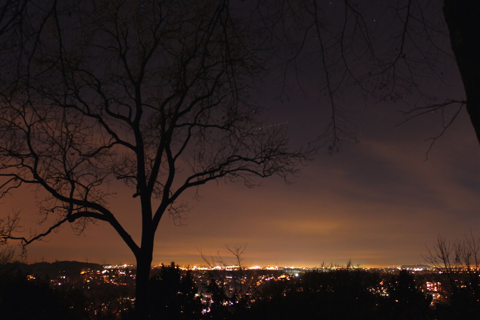Canon EOS 600D (Rebel EOS T3i / EOS Kiss X5) sample photo. City, night, tree photography