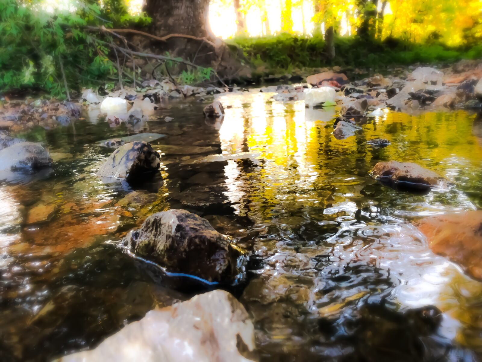 iPhone 8 back camera 3.99mm f/1.8 sample photo