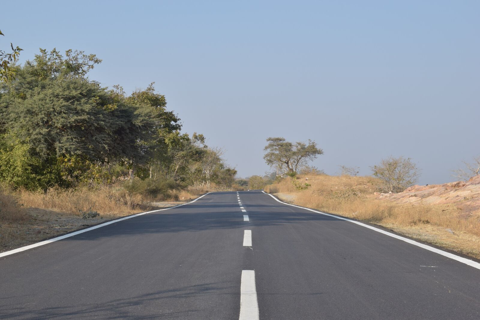 Nikon D5300 sample photo. Road, sunny, day photography