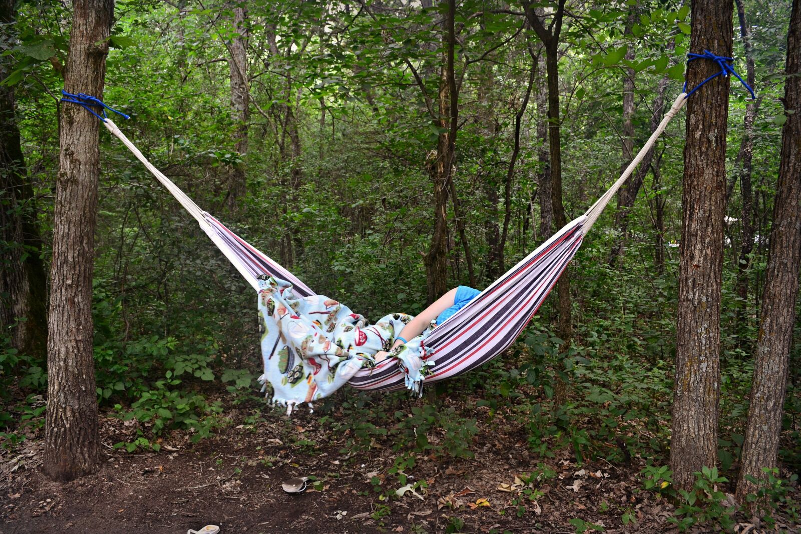 Nikon D3100 sample photo. Labor day, camping, summer photography