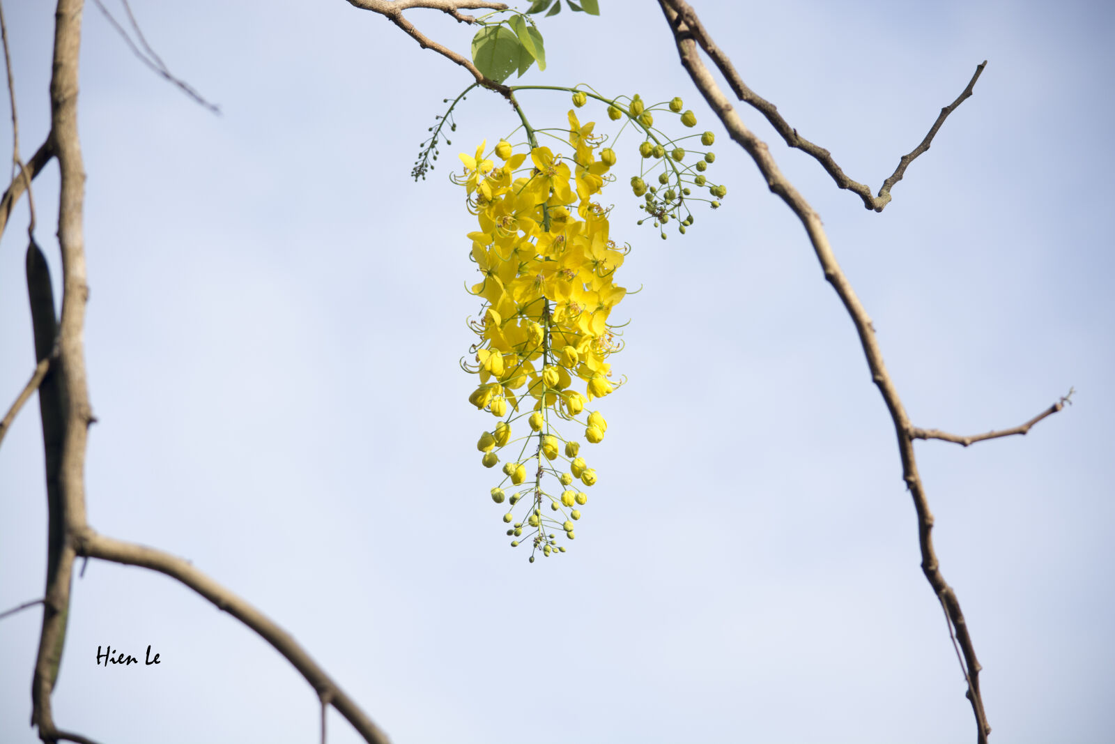Nikon D7100 sample photo