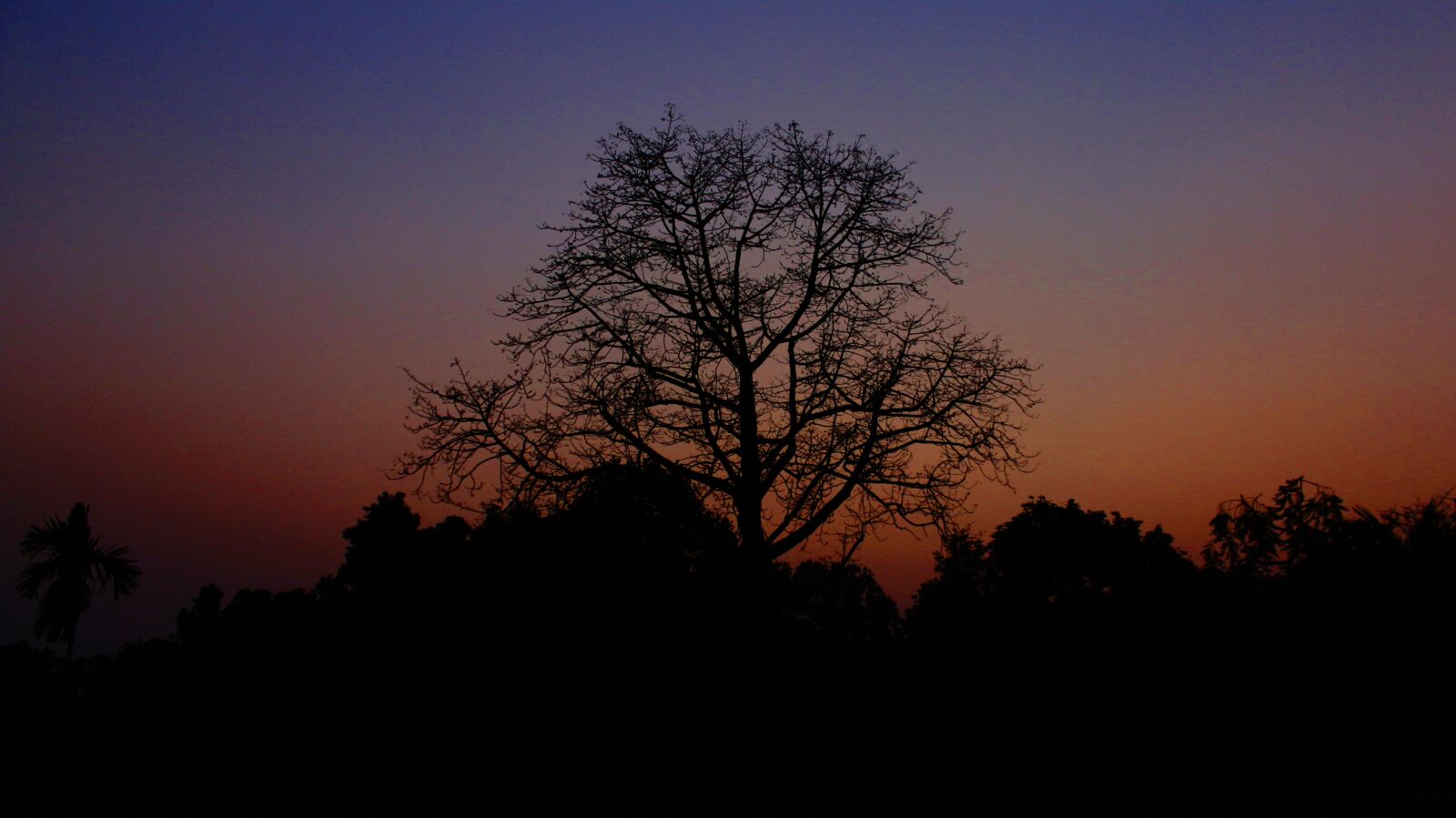 Canon EOS 700D (EOS Rebel T5i / EOS Kiss X7i) sample photo. Nature, sunset, trees photography