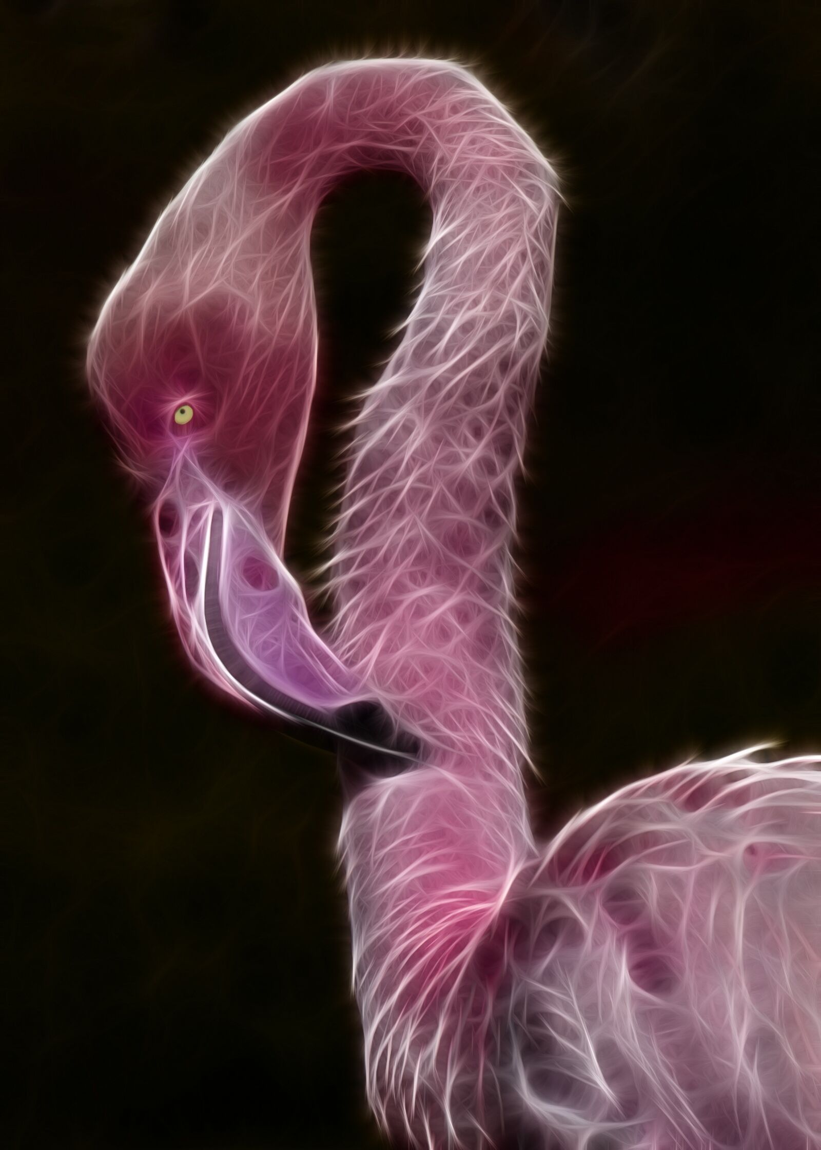 Canon EOS 1100D (EOS Rebel T3 / EOS Kiss X50) sample photo. Fractalius, bird, flamingo photography
