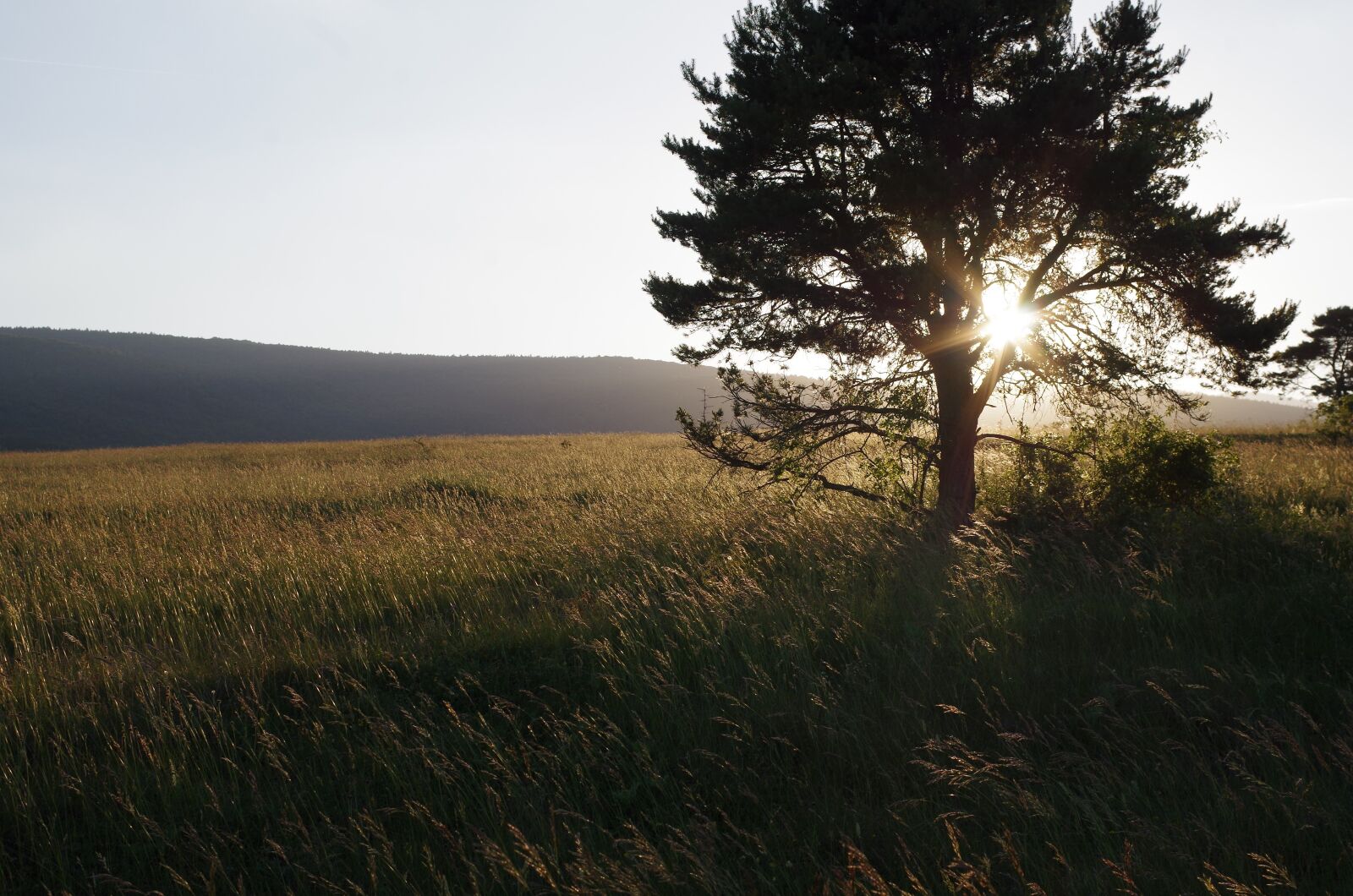 Pentax K-500 sample photo. Sunset, bollenberg, under vosges photography