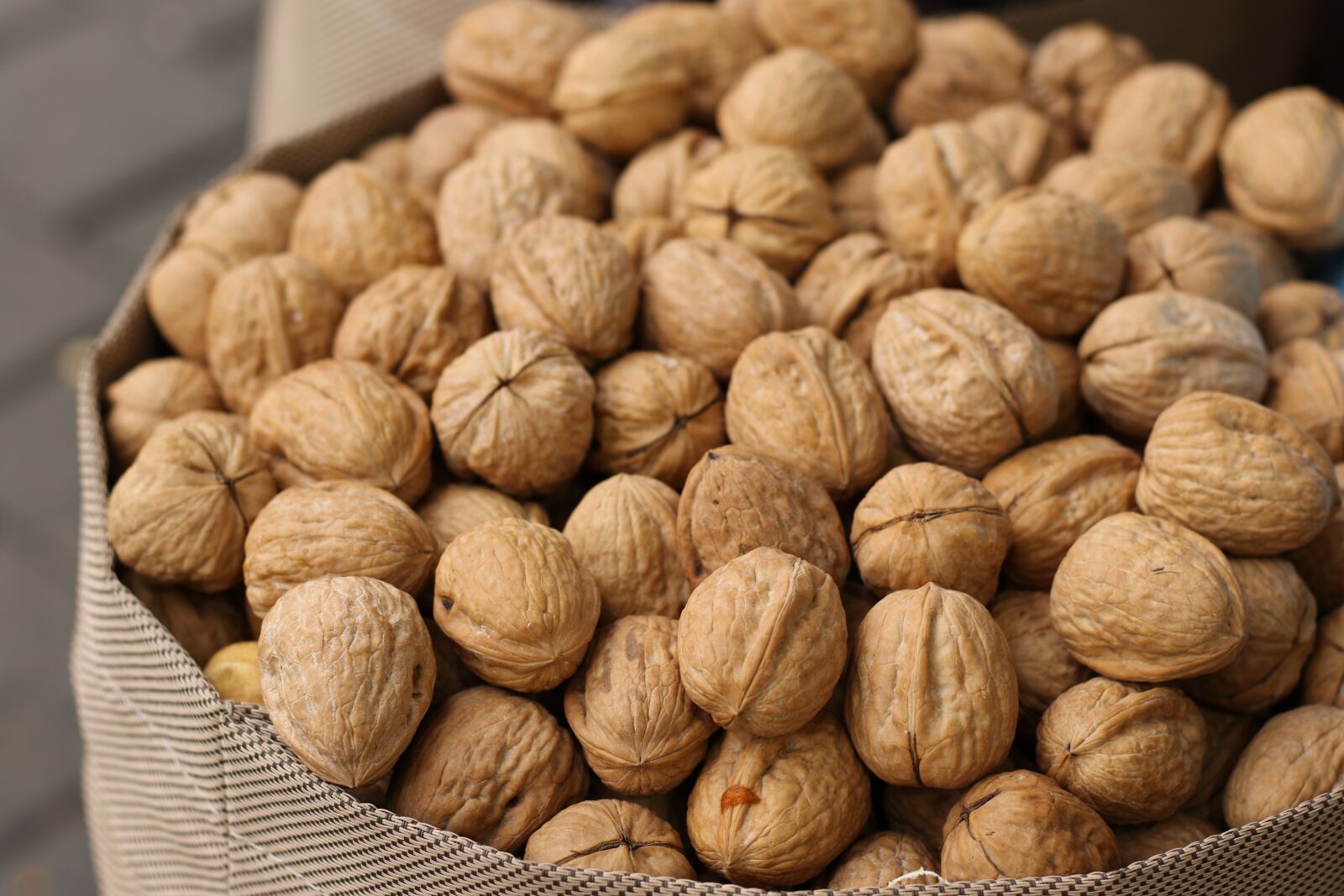 Canon EOS 7D Mark II sample photo. Fruit, wall nuts, brown photography