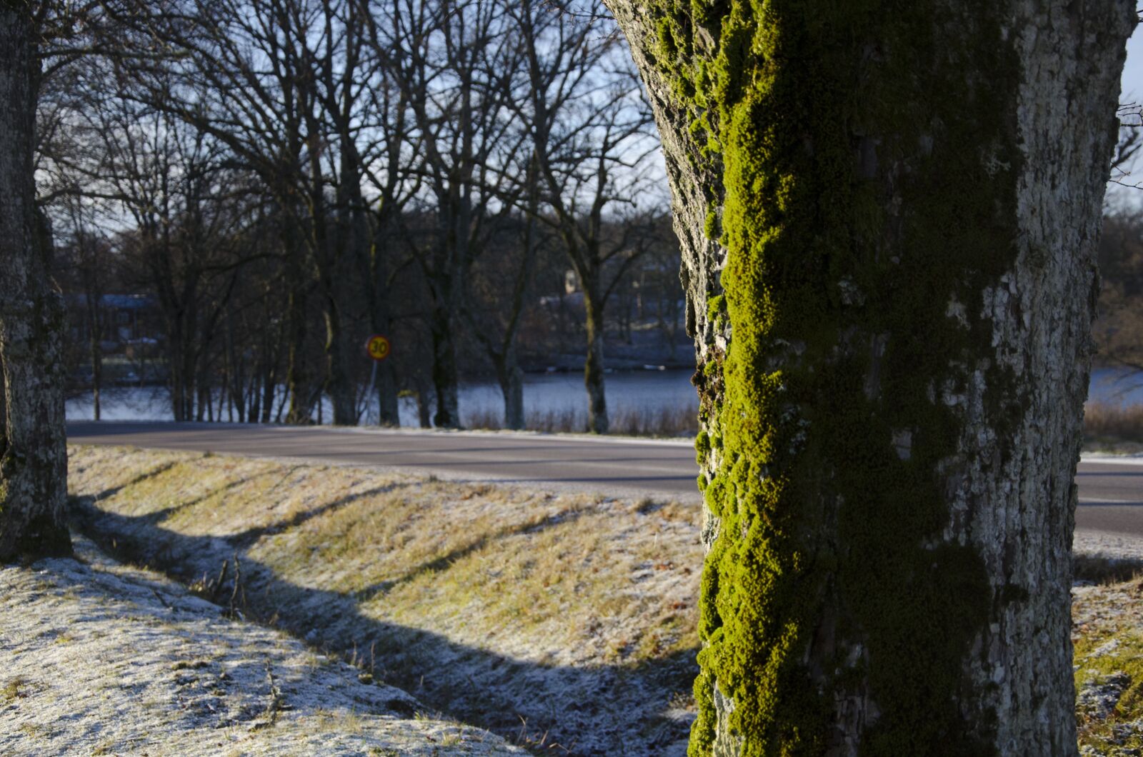 Nikon D7000 sample photo. N s castle, lerum photography