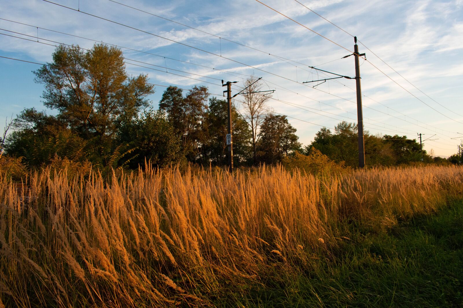 Nikon D3400 sample photo. Wheat, field, rails photography