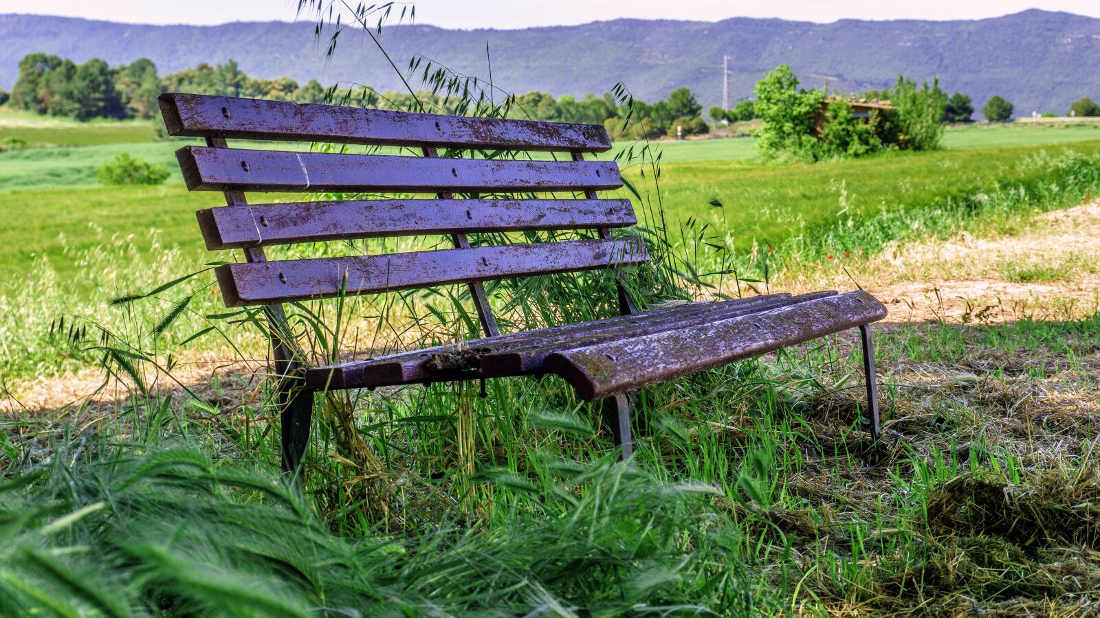 Sony a6000 sample photo. Nature, landscapes, bank photography