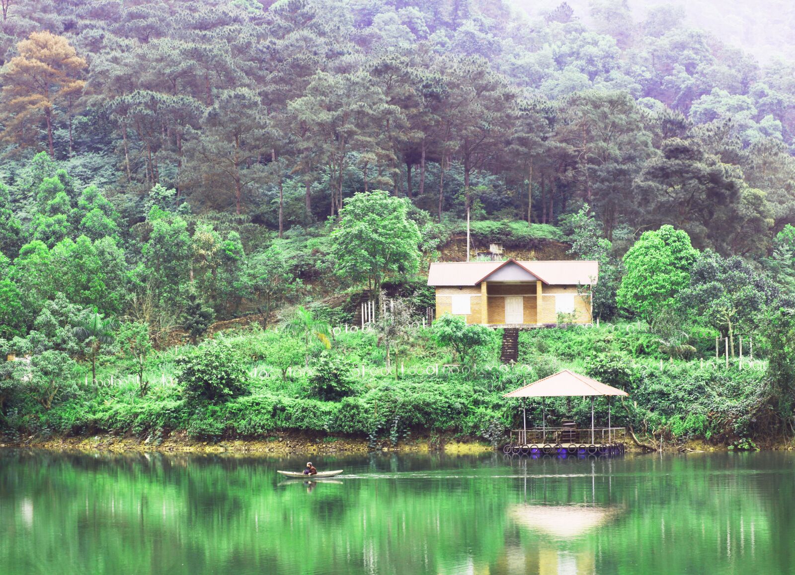 Canon EOS 5D Mark II sample photo. Nature, trees, lake photography
