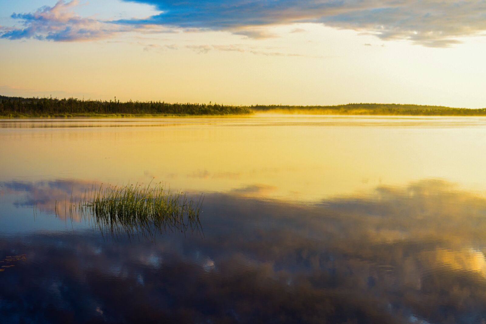 Nikon D3400 sample photo. Fog, blue, alberta photography