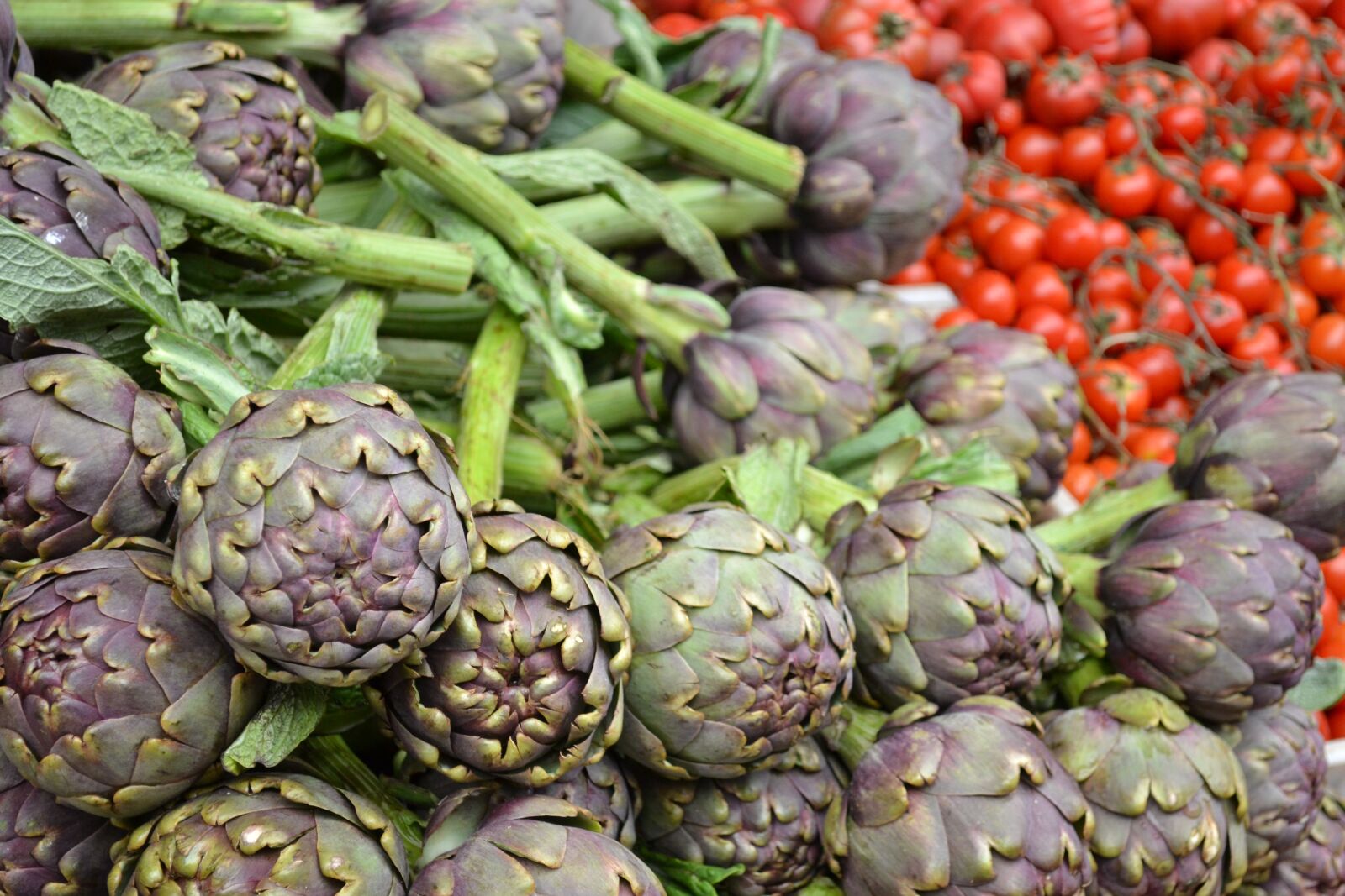 Nikon D3100 sample photo. Artichokes, vegetables, artichoke photography