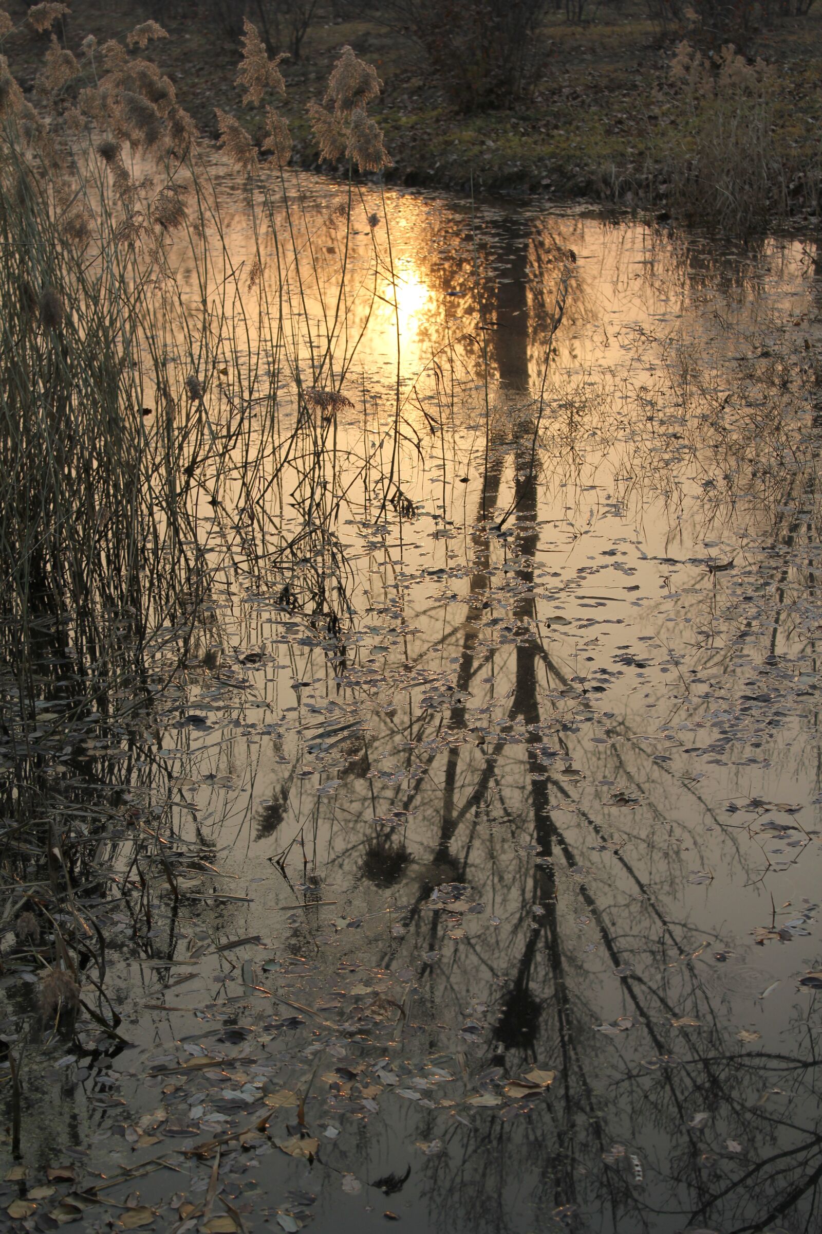 Canon EOS 550D (EOS Rebel T2i / EOS Kiss X4) sample photo. The fall of water photography