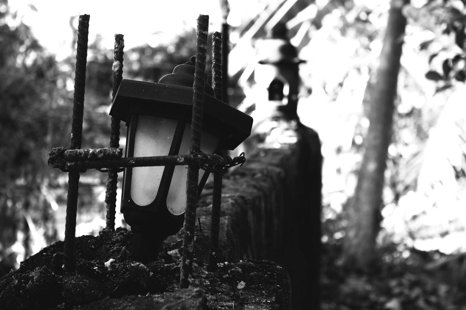 Canon EOS 750D (EOS Rebel T6i / EOS Kiss X8i) sample photo. Lamp, light, black and photography