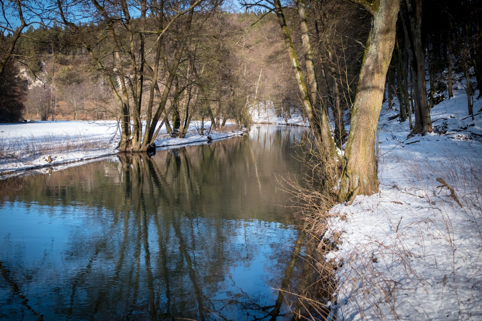 Fujifilm XF 16-55mm F2.8 R LM WR sample photo. Tree, nature, landscape photography