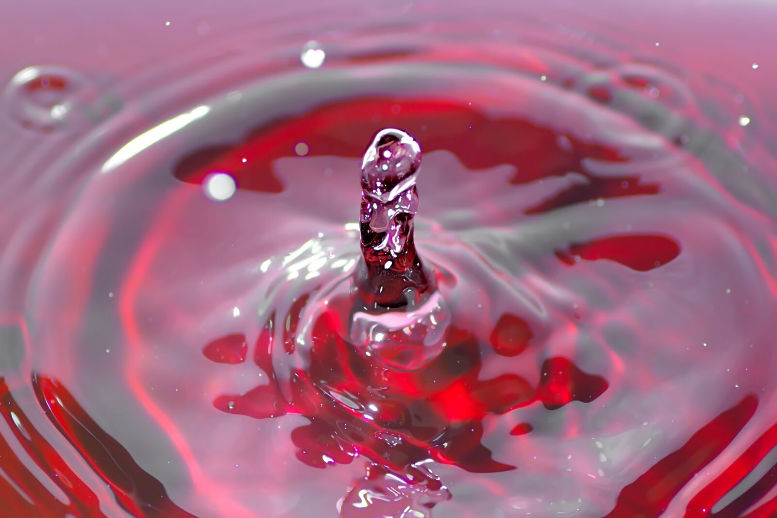 Nikon D7100 sample photo. Water, drip, wet photography