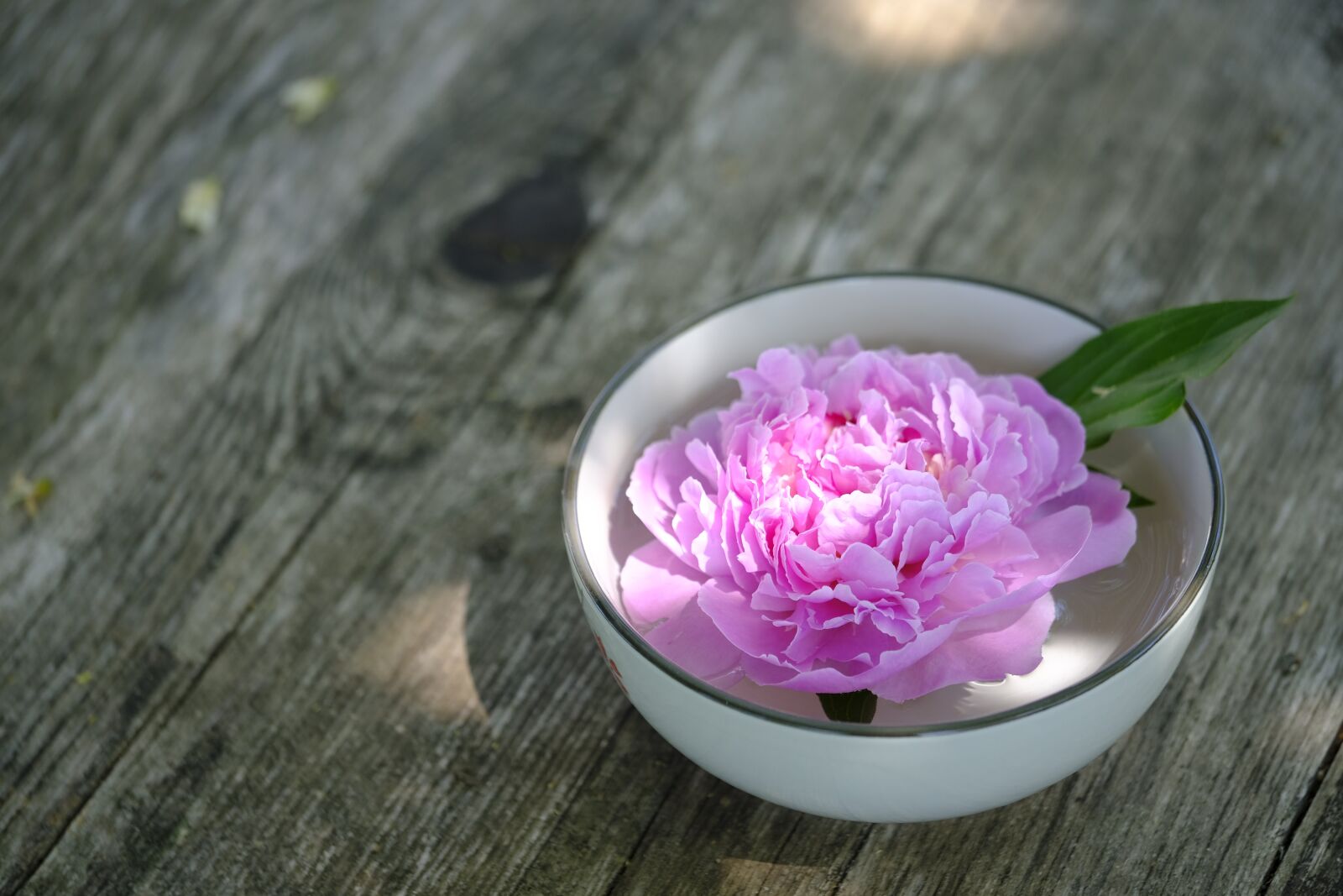 Fujifilm X-T2 + Fujifilm XF 80mm F2.8 R LM OIS WR Macro sample photo. Wellness, beauty, relaxation photography