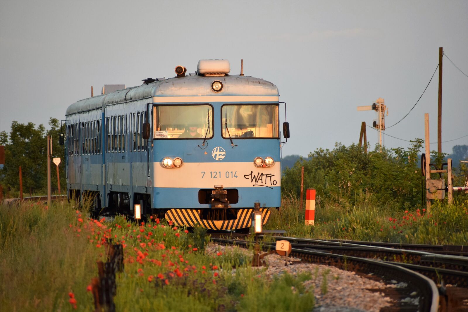 Nikon D3300 sample photo. Train, railway, red poppys photography