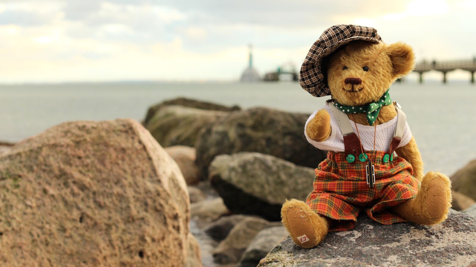 Canon EOS 700D (EOS Rebel T5i / EOS Kiss X7i) + Canon EF 50mm F1.8 II sample photo. Teddy, teddy bear, soft photography