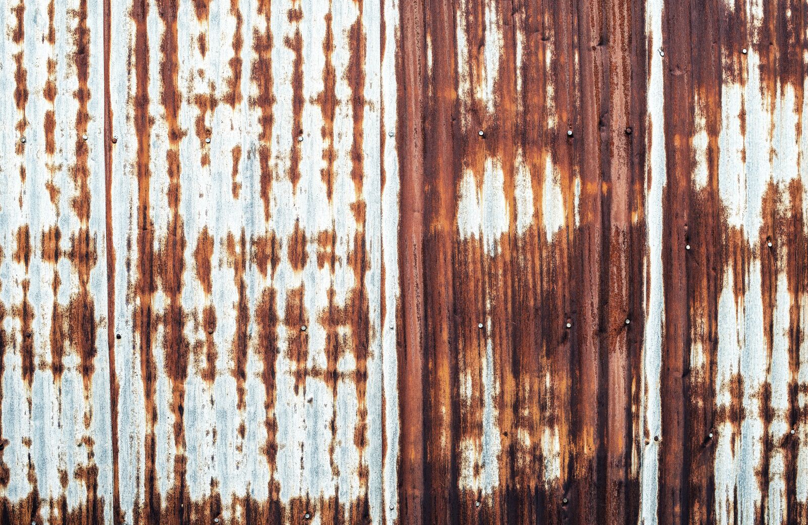 Nikon D610 sample photo. Rustic tin, corrugated, wall photography