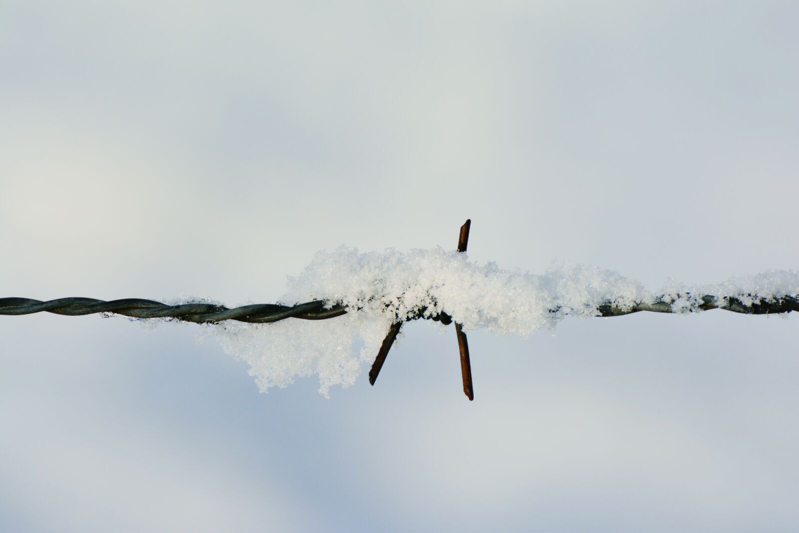 Nikon D5200 sample photo. Snow, barbed wire, snowy photography