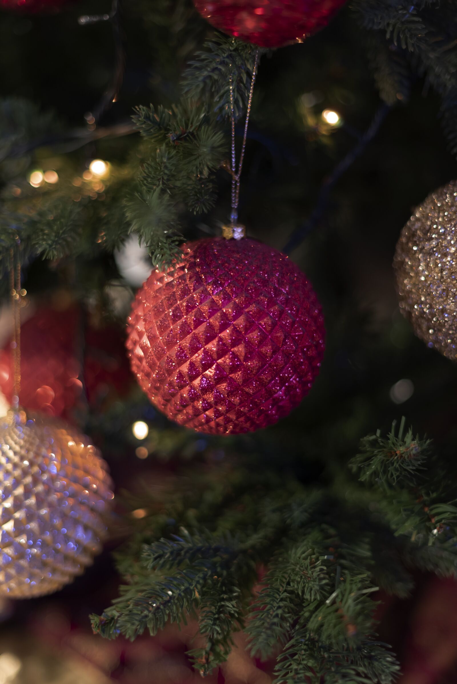 Nikon D750 sample photo. Christmas, lights, holiday photography