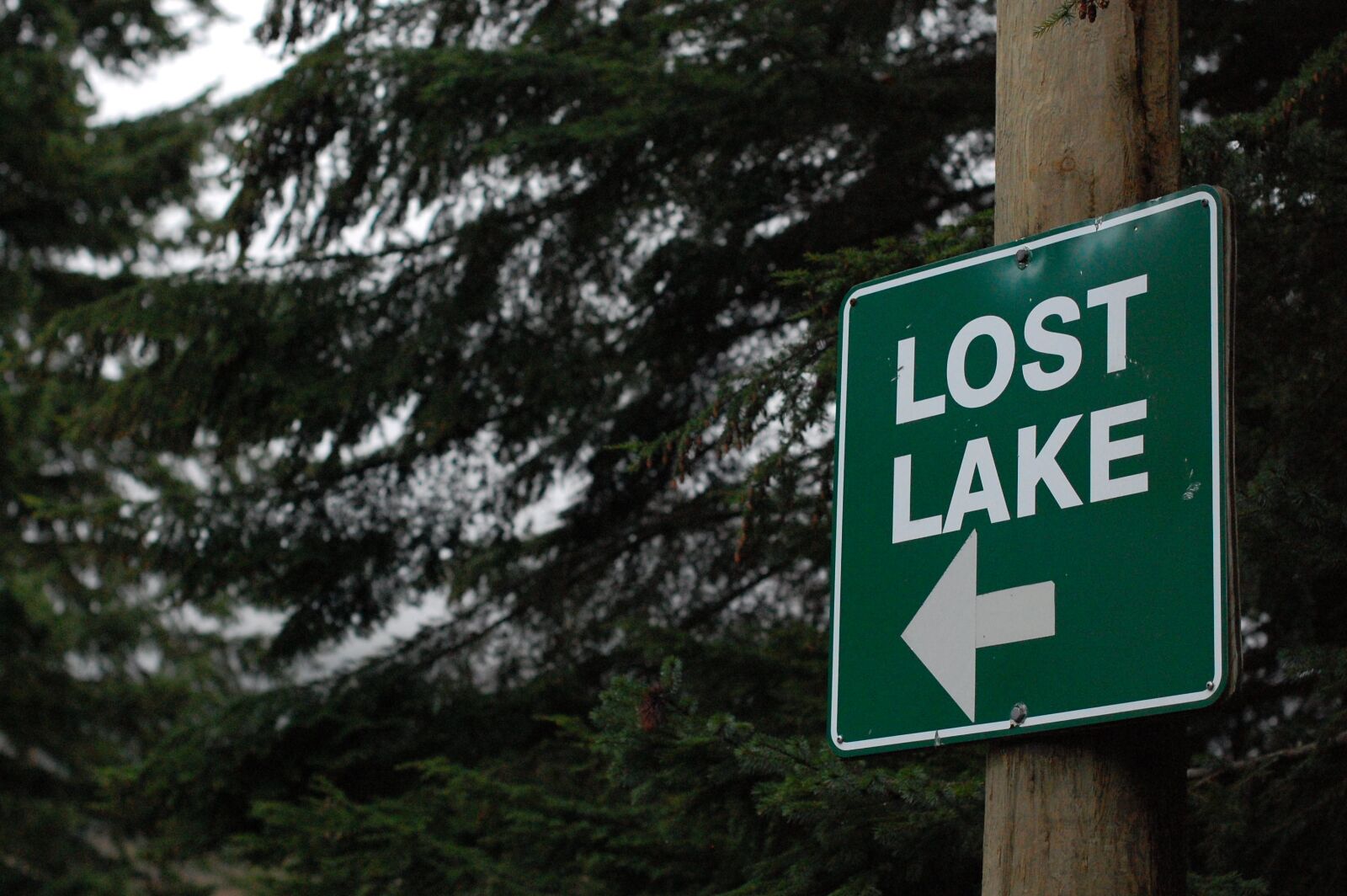 Nikon D40 sample photo. Lost, found, compass photography