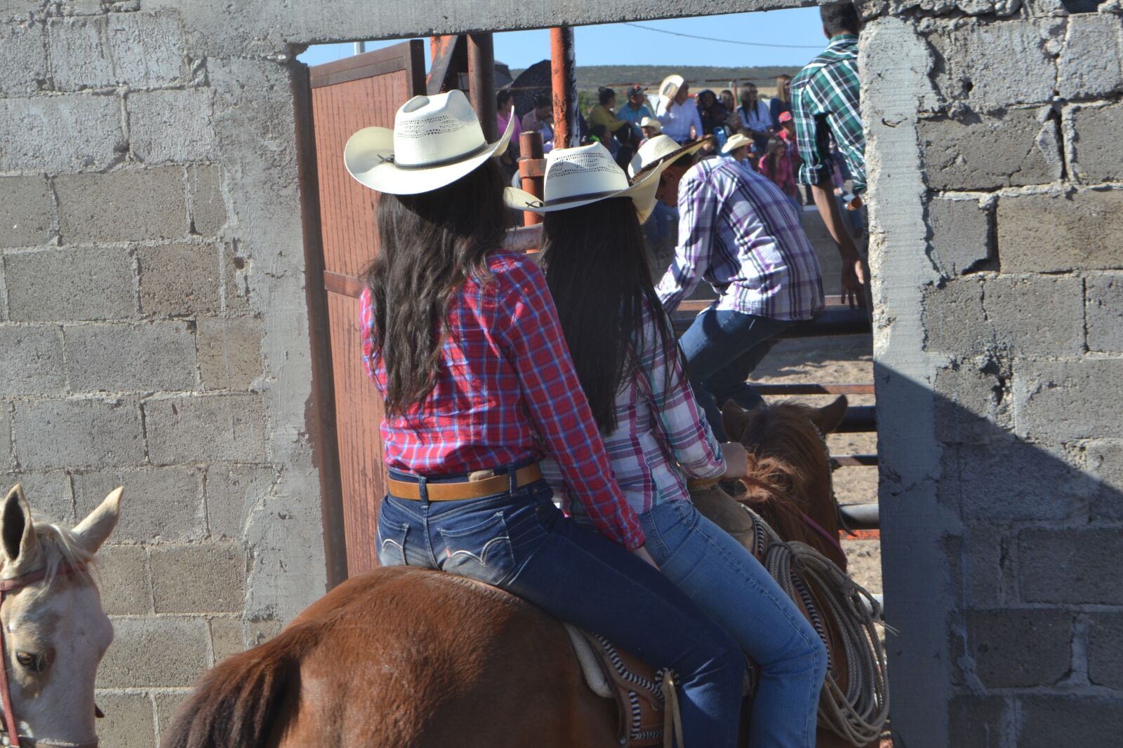 Nikon D3100 sample photo. Girls, country, horse photography
