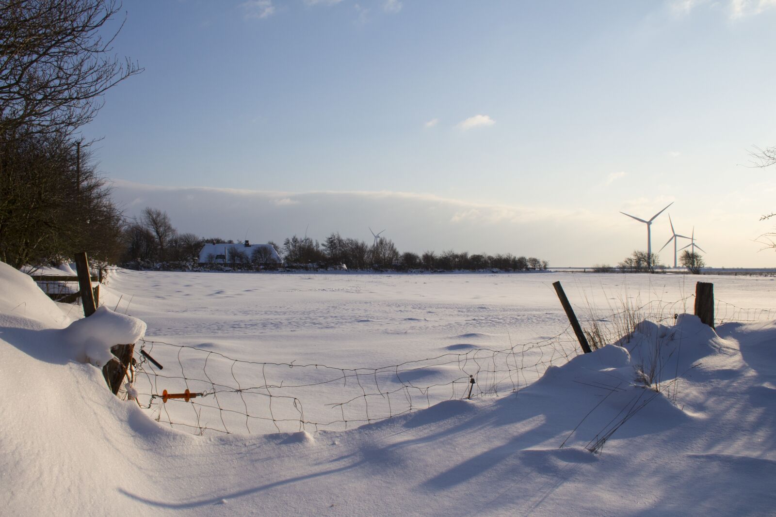 Canon EF-S 18-55mm F3.5-5.6 II sample photo. Winter, snow, frozen photography