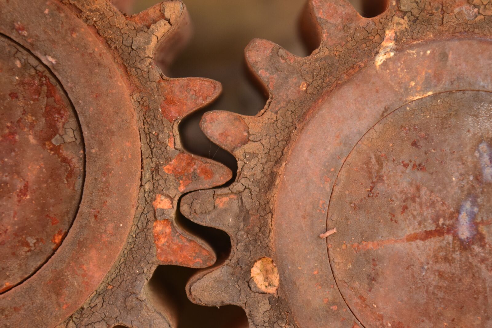 Nikon D3300 sample photo. Gears, metal, rust photography