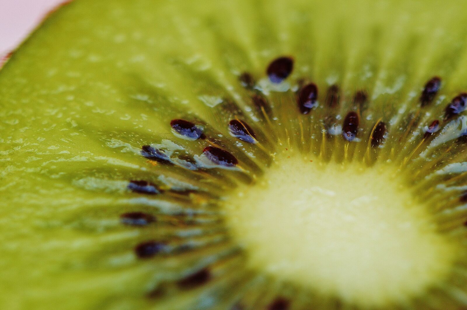Nikon D3200 sample photo. Kiwi, fruit, healthy photography