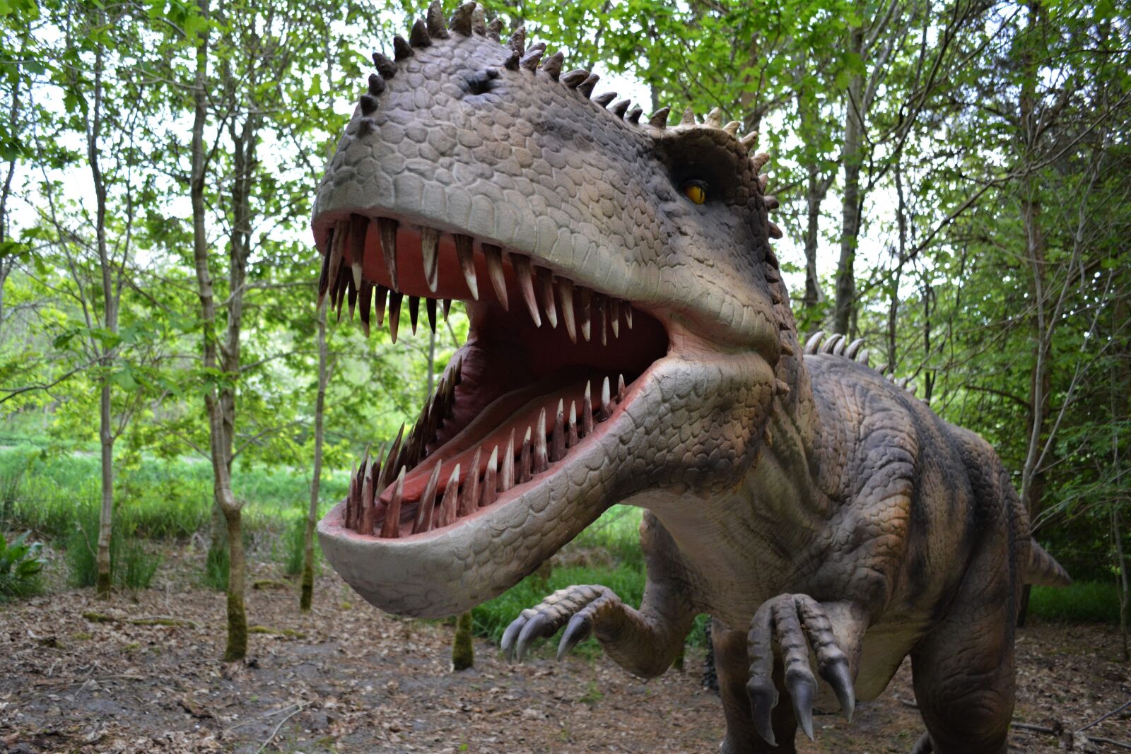 Nikon D5200 sample photo. Dinosaur, dino, carnivorous dinosaurs photography